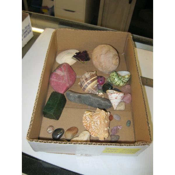 BOX OF ASST. SHELLS, ETC.