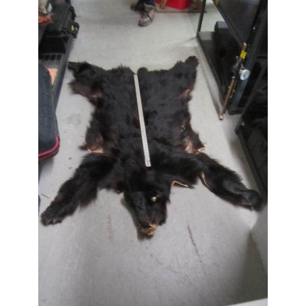 TANNED BLACK BEAR HIDE