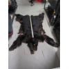 Image 1 : TANNED BLACK BEAR HIDE