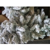 Image 3 : 4 BOXES OF CHRISTMAS DÉCOR