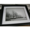 Image 2 : FRAMED BLACK & WHITE PRINT OF TREES AND FLORAL PICTURE