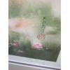 Image 2 : ALEX FUNG FRAMED NUMBERED PRINT, 32/190