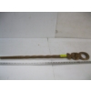 Image 1 : AFRICAN WALKING STICK