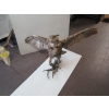 Image 1 : MOUNTED GREAT HORNED OWL