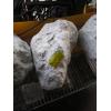 Image 1 : LG. PIECE OF CARVING SOAPSTONE