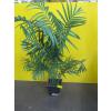 Image 4 : 2 ARTIFICIAL PLANTS