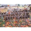 Image 2 : VINTAGE SEEDER