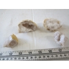 Image 3 : BAG OF CRYSTAL ROCKS