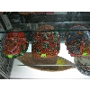 Image 1 : 3 LG. MEXICAN PAINTED CERAMIC MASKS