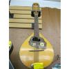 Image 1 : MUSIK-EFFERTZ MANDOLIN