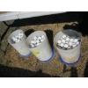 Image 1 : 3 CONTAINERS OF GOLF BALLS