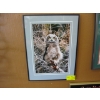 Image 1 : FRAMED OWL PHOTO