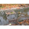 Image 4 : PLOW & ASST. BLADES
