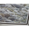 Image 2 : FRAMED ROBERT BATEMAN PRINT OF GRIZZLY BEAR