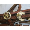 Image 3 : 2 HALTERS