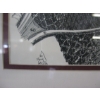 Image 2 : PICTURE OF FISH & NET