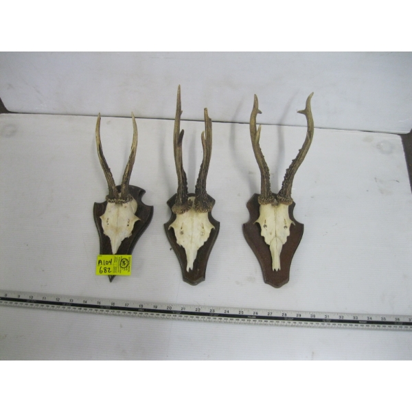 3 SETS OF DEER HORNS ON PLAQUES
