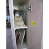 Image 3 : CUPBOARD W/MISC. PANS, RACKS, TRAYS, ETC.