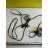 Image 4 : NOKO GENIUS BATTERY CHARGER