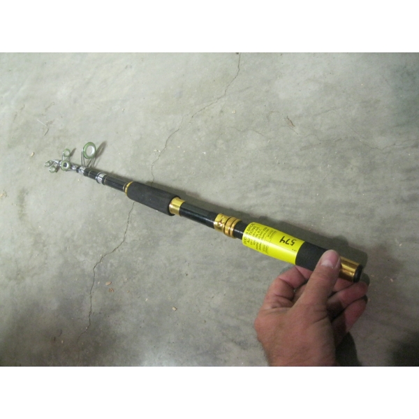 EXPANDABLE FISHING ROD