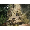 Image 2 : SICKLE MOWER