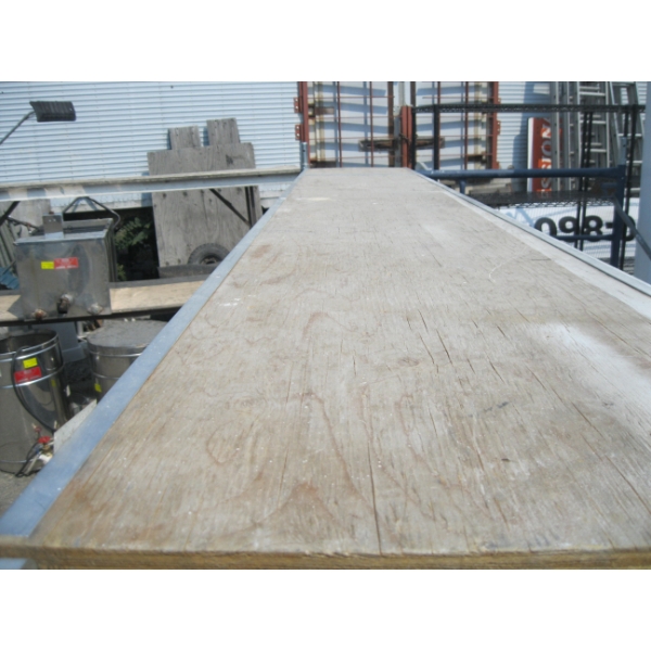 75LB SCAFFOLD PLANT - 10'