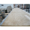 Image 1 : 75LB SCAFFOLD PLANT - 10'