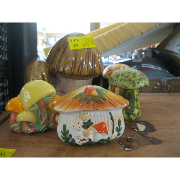 MUSHROOM ITEMS
