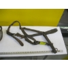 Image 2 : HORSE HALTER & NOSE/MOUTH COVER