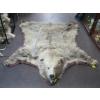 Image 1 : TANNED GRIZZLY HIDE WITH HEAD MOUNT