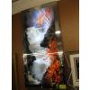 Image 1 : LIGHTED MOTION PICTURE