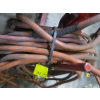 Image 2 : ORANGE EXTENSION CORDS