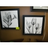 Image 1 : 2 FRAMED BLACK & WHITE FLORAL PICTURES