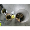 Image 2 : TINKER TOYS & SMALL DRUM