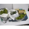 Image 1 : ASST. LANDSCAPING TREES FOR TRAIN
