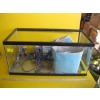 Image 3 : AQUARIUM W/ASST. CONTENTS - ROCK, ETC.