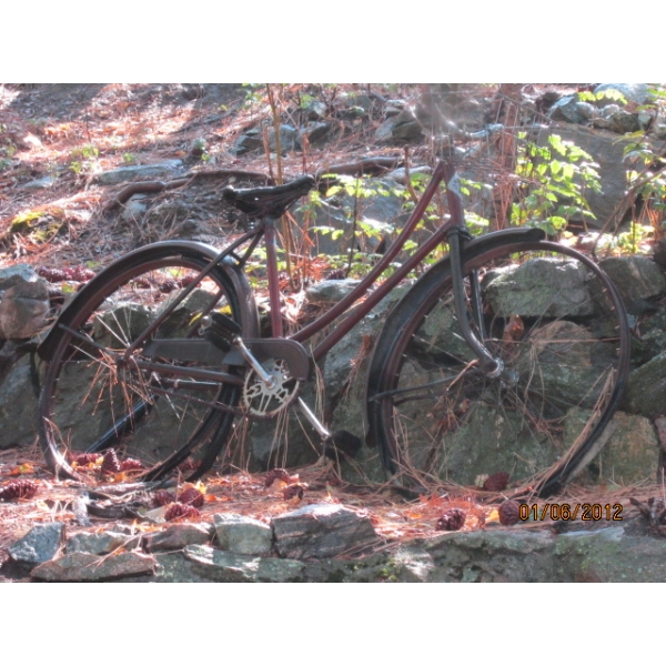 VINTAGE BICYCLE
