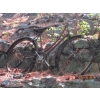 Image 1 : VINTAGE BICYCLE