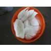 Image 2 : LG. PAIL OF SHELLS