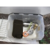 Image 3 : BIN OF MISC. HUNTING & FISHING GLOVES, TOQUES, CAMMO GEAR, ETC.