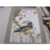 Image 5 : 2 PRINTS FROM FRANKLIN MINT BY ROBIN HILL - UNFRAMED - WOOD DUCK & OWL