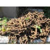 Image 2 : ASST. HEAVY DUTY TIRE OR TRACTOR CHAINS