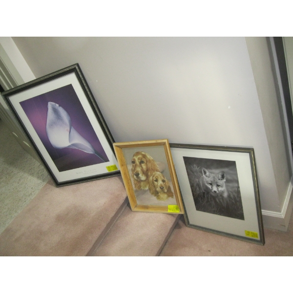 3 FRAMED PICTURES