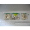 Image 1 : 3 BAGS OF SEASHELLS