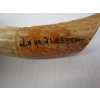 Image 2 : ANTLER TIP
