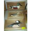 Image 3 : FRAMED WOODEN DUCKS, GEESE & FISH