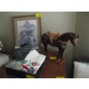 Image 1 : VINTAGE HORSE FRAMED ROCKWELL PRINT & ASST. BUTTONS