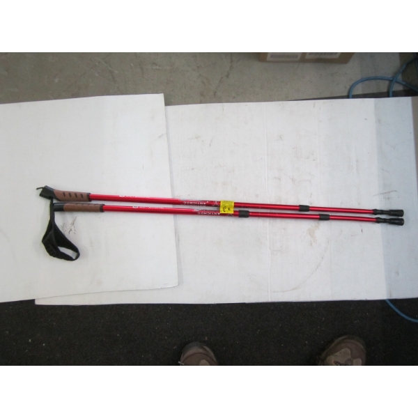 PAIR OF EXTENDABLE WALKING STICKS