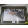 Image 1 : FRAMED ROBERT BATEMAN PRINT "MOMENTUM"