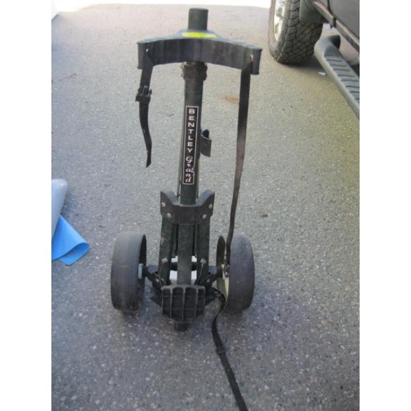 FOLDING GOLF CART